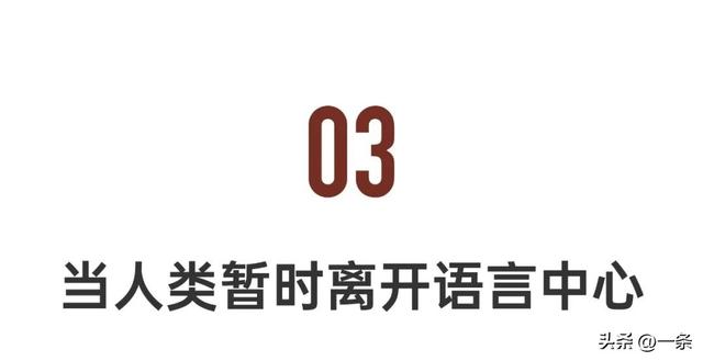 全球首个宠物翻译器，上线爆火-9.jpg