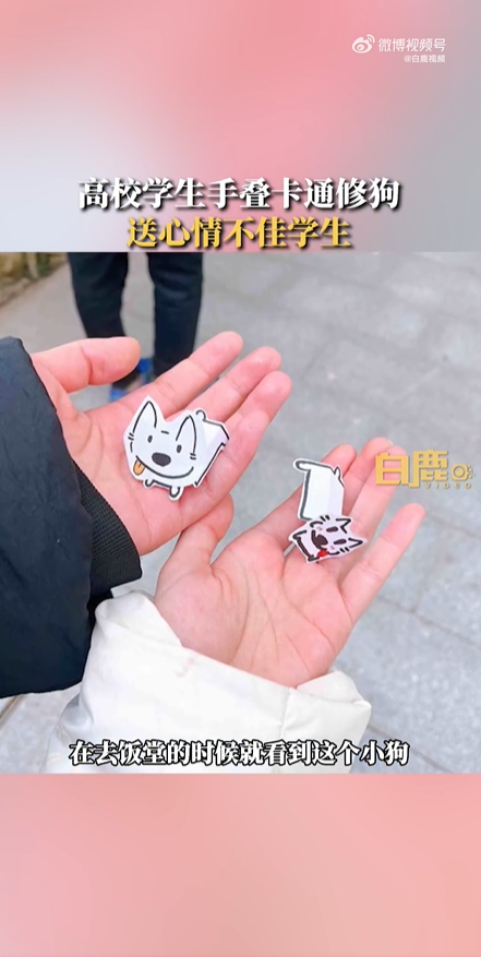 大学生免费送折纸小狗治愈不开心，过路同学：心情瞬间变好了-2.jpg