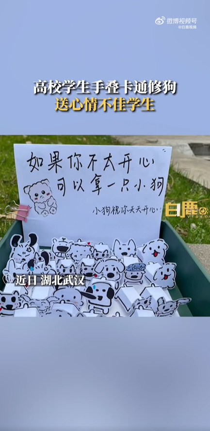 大学生免费送折纸小狗治愈不开心，过路同学：心情瞬间变好了-1.jpg