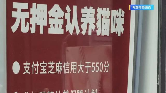 “免费领养宠物”真的不花钱吗？小心这些“坑”！律师提醒→-4.jpg
