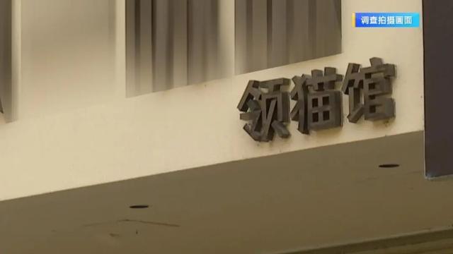 “免费领养宠物”真的不花钱吗？小心这些“坑”！律师提醒→-6.jpg