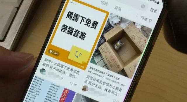 “免费领养宠物”真的不花钱吗？小心这些“坑”！律师提醒→-3.jpg